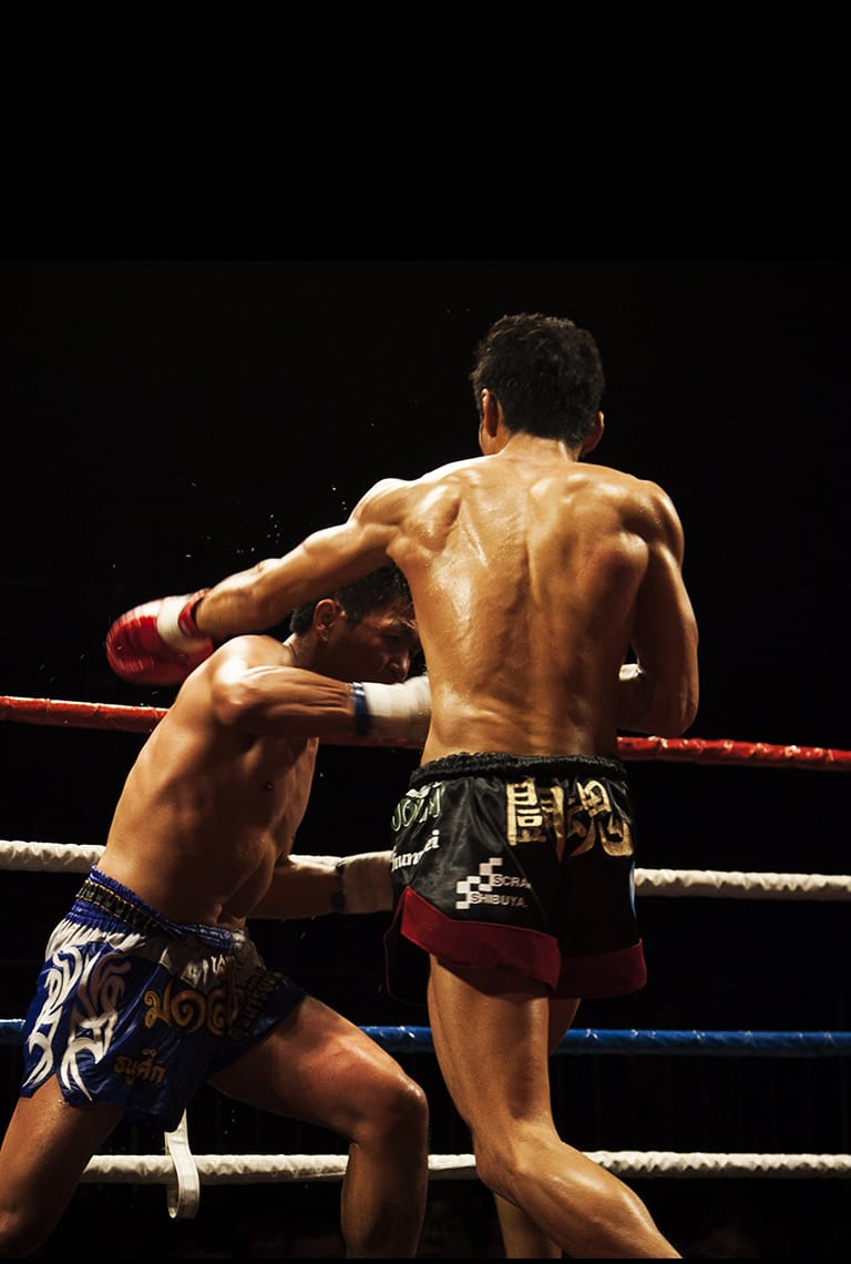 闘うカラダは美しい